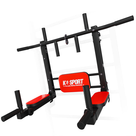 Chin Up And Dip Bar 2in1 For Swedish Ladder