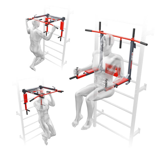 Chin Up And Dip Bar 2in1 For Swedish Ladder