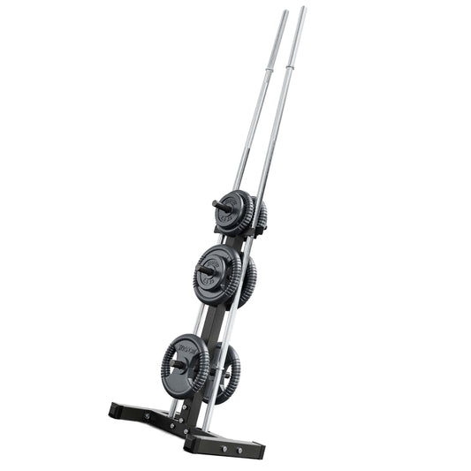 Vertical weight plate and barbell rack with compact steel frame