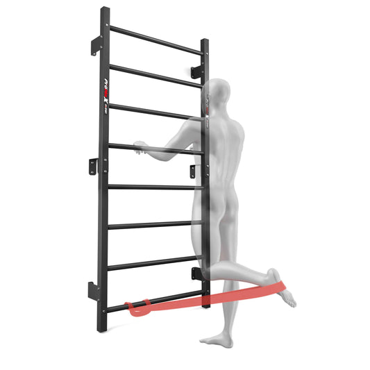 Resistance band leg exercise on the K-Sport wall bars with 8 rungs