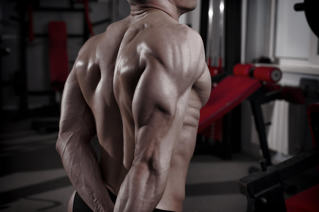 THE BEST EXERCISE FOR YOUR TRICEPS