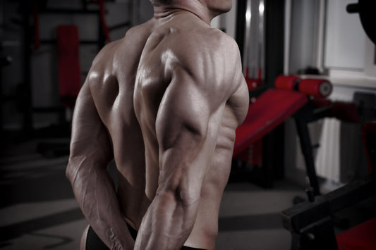 THE BEST EXERCISE FOR YOUR TRICEPS
