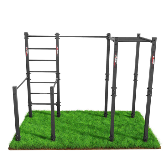 Rear view of steel calisthenics workout station with monkey bars and dip bars on artificial grass base