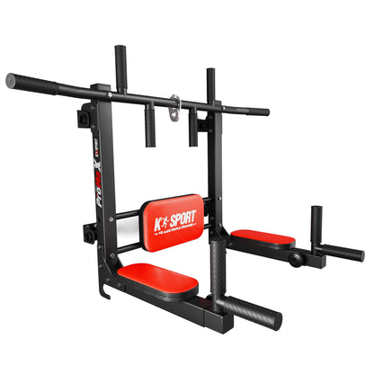 Chin-Up And Dip Bar