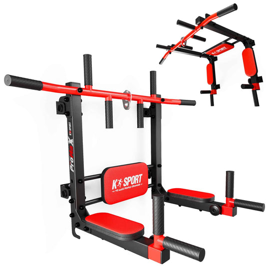 Chin-Up And Dip Bar