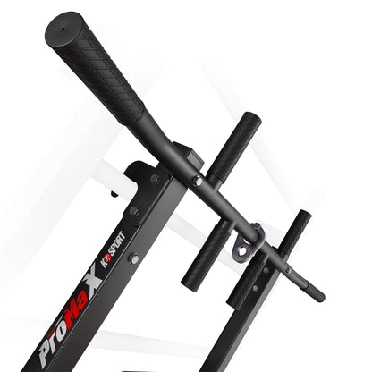 Chin Up And Dip Bar 2in1 For Swedish Ladder