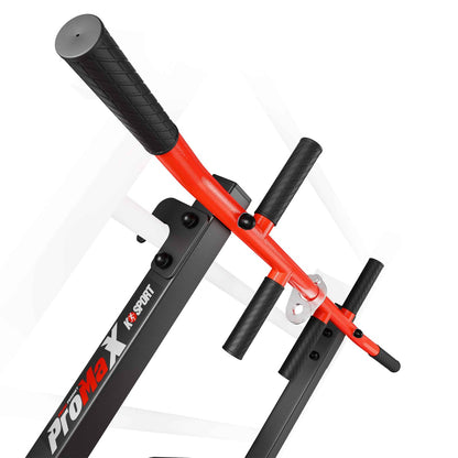 Chin Up And Dip Bar 2in1 For Swedish Ladder