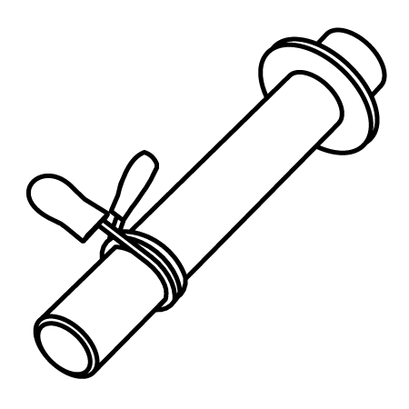 Icon showing weight plate holder with spring collar