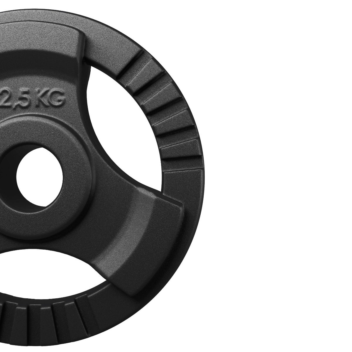 Weight Plates Cast Iron 2,5 kg