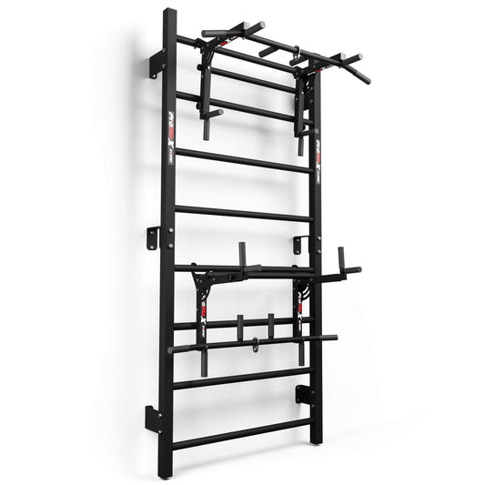 Swedish ladder wall bars with pull-up bar and dip station, full view